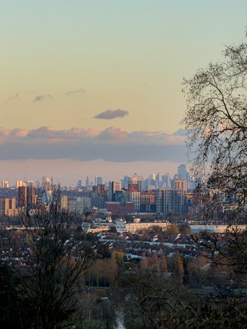 A view of a city skyline during late afternoon or early evening, with numerous high-rise buildings and skyscrapers visible in the distance. In the foreground, leafless trees and shrubs are present on a hillside, framing the scene. The sky is partly cloudy with a soft, warm light casting gentle shadows on the buildings. The urban landscape includes residential and commercial properties, and the overall scene suggests a transition period between day and night. This image relates to home relocation and moving logistics, illustrating the urban environment involved in furniture transport and packing and moving processes, as observed from a suburban vantage point near a property where removals by companies such as Removal Van Harrow might be carried out.