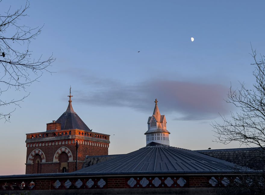 The image shows a clear evening sky with a visible crescent moon and a small bird flying overhead. In the foreground, there are the rooftops of historic brick buildings with decorative white accents, featuring spires and turrets. Bare tree branches frame the scene on both sides, suggesting the photograph was taken during late autumn or winter. The scene captures a tranquil urban environment, with the architectural elements indicating traditional European design. This setting, observed near Harrow station, highlights the area's charming historic structures and peaceful moment at dusk. While the image does not depict moving activities or furniture, it visually supports topics related to home relocations or building interiors in the Harrow area, as seen on the [PAGE_TITLE] page of Removal Van Harrow's website.